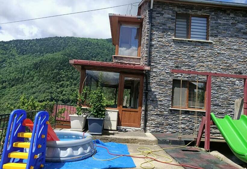 Nocleg ze śniadaniem Villa Pamuklu Second Floor Only