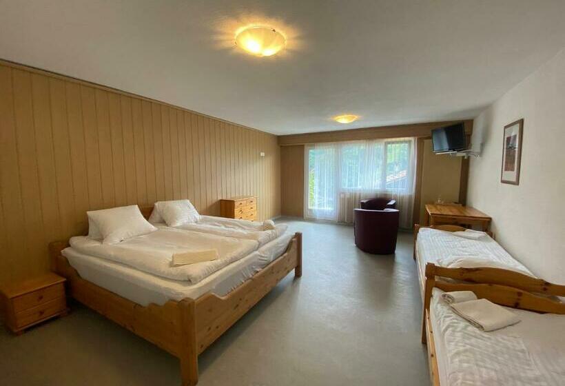 Pension Sky Rooms, Mountainous View