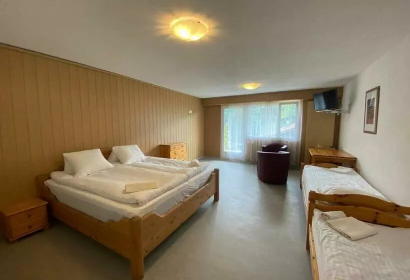 ペンション Sky Rooms, Mountainous View