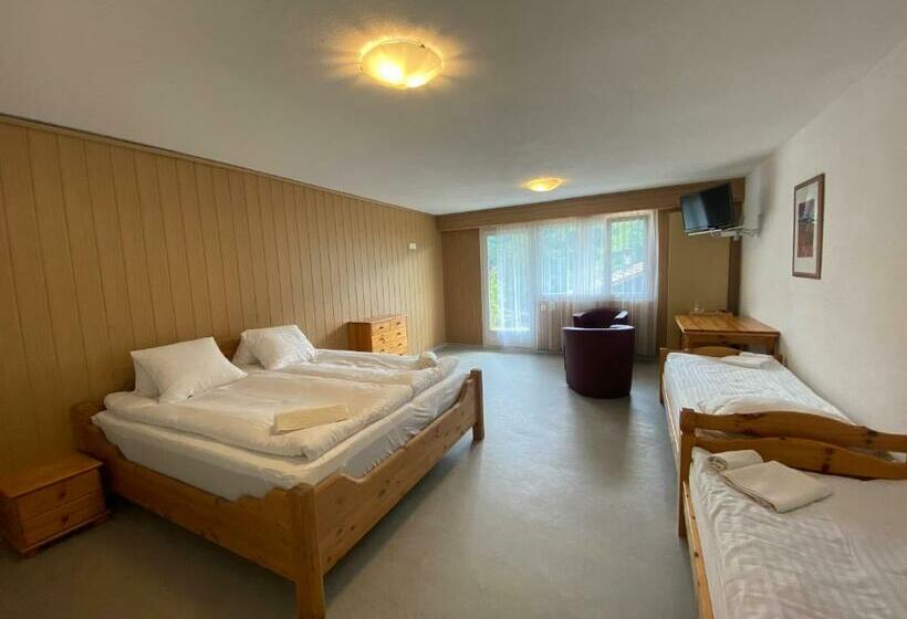 Pension Sky Rooms, Mountainous View