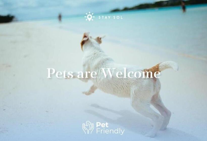 فندق صغير Best Stay   Rooftop Pool & Hot Tub   Hollywood Beach