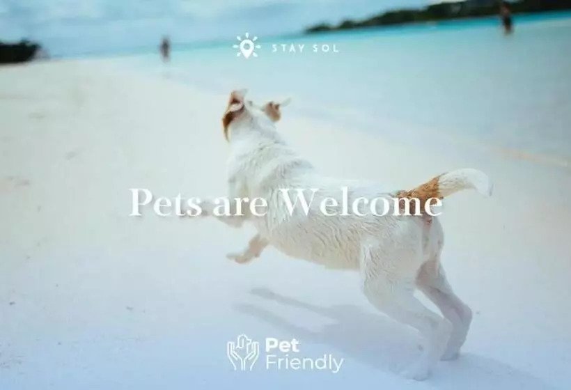 ユースホステル Best Stay   Rooftop Pool & Hot Tub   Hollywood Beach