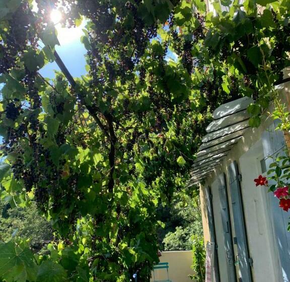 צימר Petit Coin De Paradis