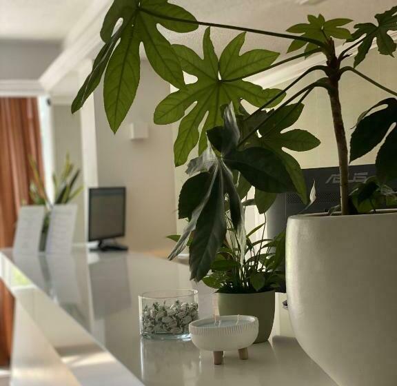 酒店 Osprey Menorca