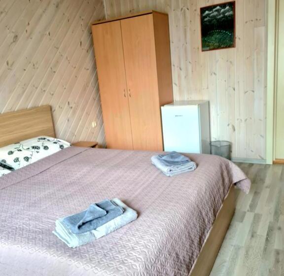 پانسیون Drugys 2