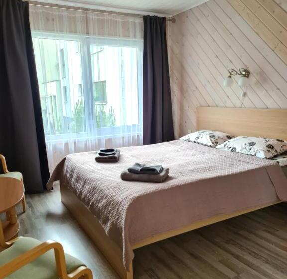 پانسیون Drugys 2