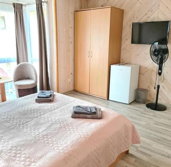 پانسیون Drugys 2