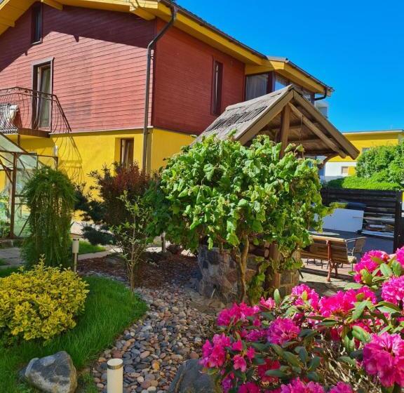 پانسیون Drugys 2