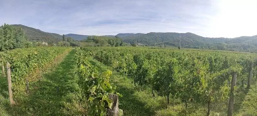 Aamiaismajoitus (B&B) Le Acacie