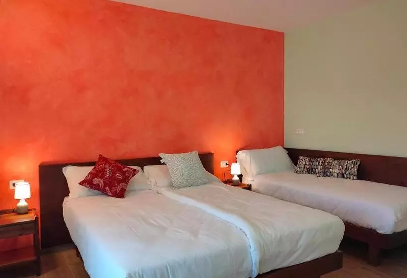 Aamiaismajoitus (B&B) Le Acacie