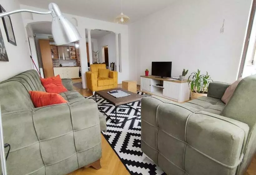Central Spacious Apartment In Pristina