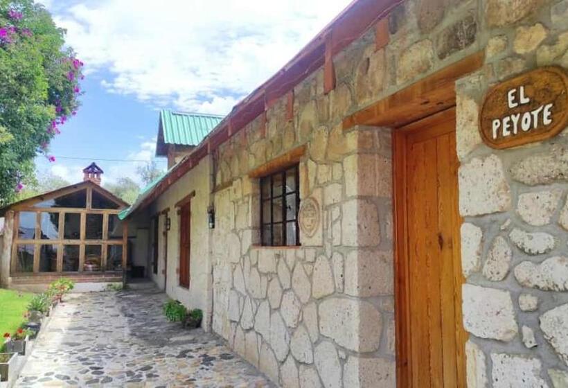 Otel Cabañas Los Cactus