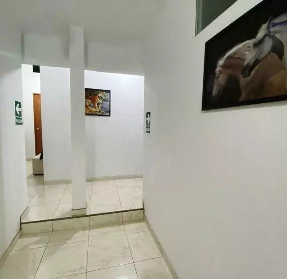 ペンション Hostal Jardin Secreto