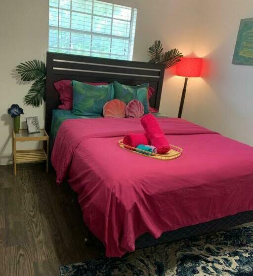 Austin   The Flamingo   Central Atx Vibes