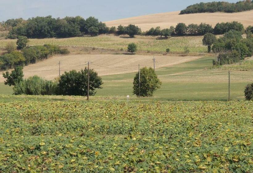 住宿加早餐  Les Treilles D En Peyre