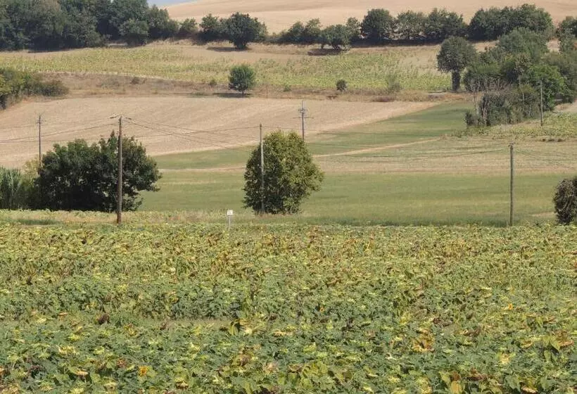 Aamiaismajoitus (B&B) Les Treilles D En Peyre