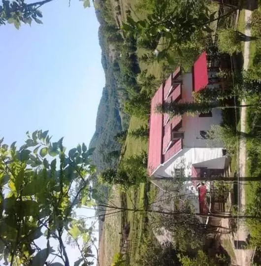 Căsuța Moțului