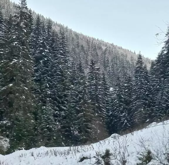 Căsuța Moțului
