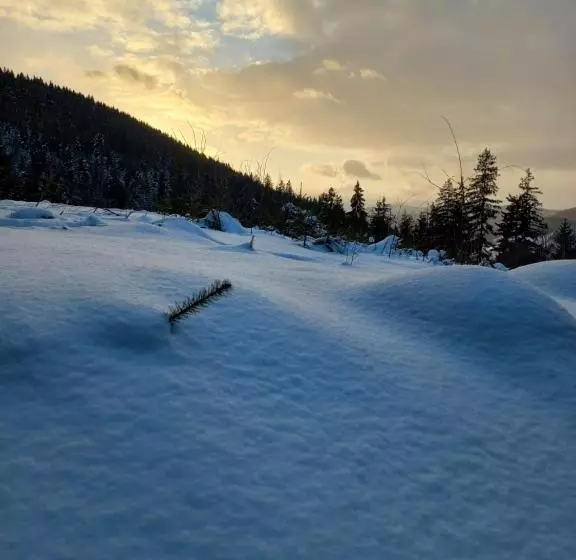 Căsuța Moțului