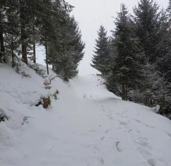 Căsuța Moțului