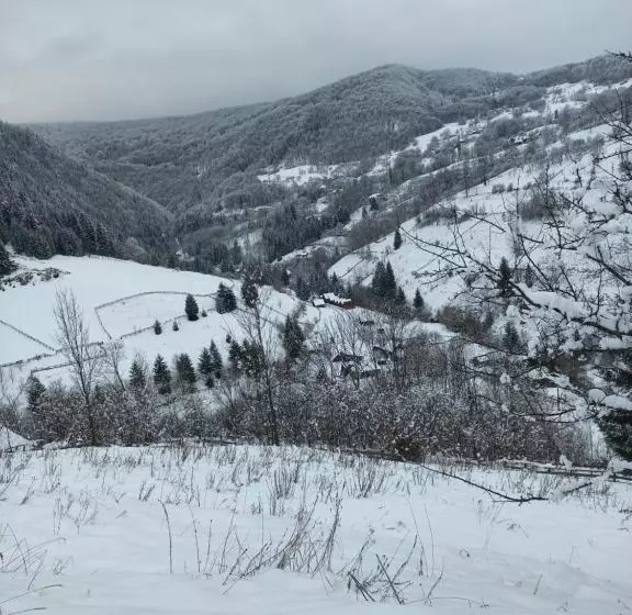 Căsuța Moțului