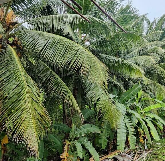 Hotel Nancowry Resort