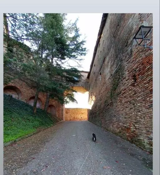 Teresa Belvedere Rooms&holidayapartments Camere&appartamenti