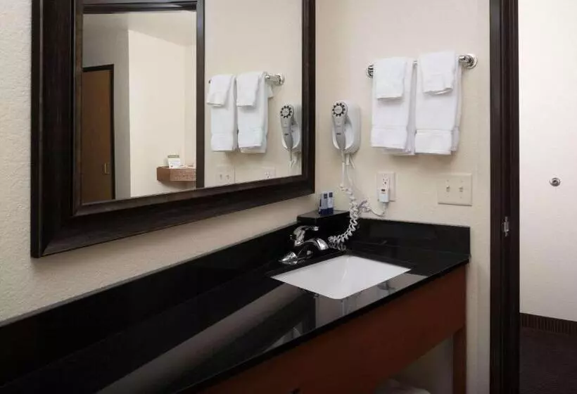 酒店 Americinn By Wyndham Belle Fourche