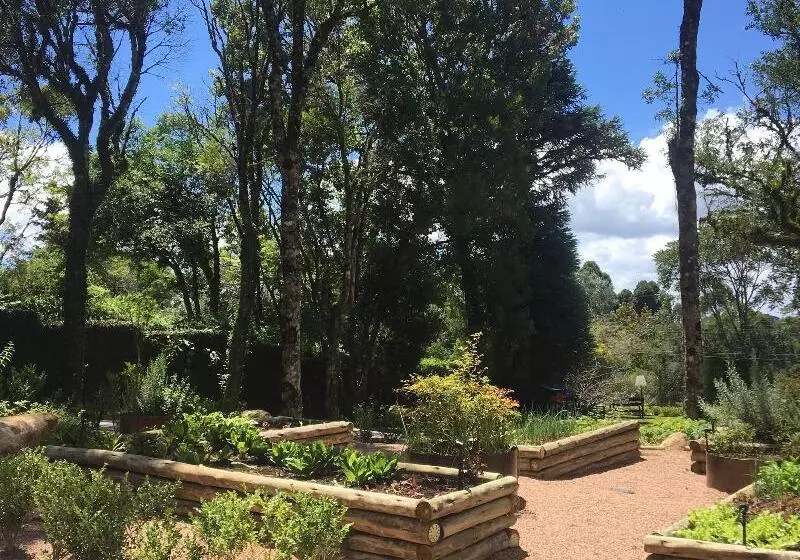 Hotel Monte Felice Bosque