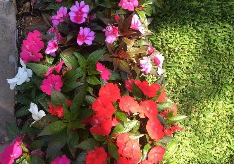 Hotel Monte Felice Bosque