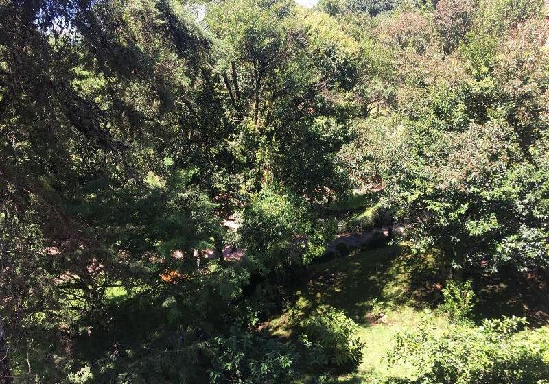 هتل Monte Felice Bosque