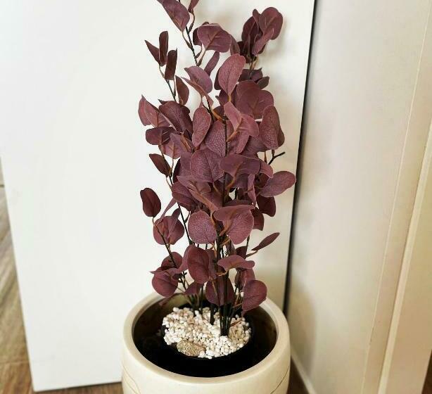 Apartamento “el Cauce” En Sierra De Gredos La Vera Wifi