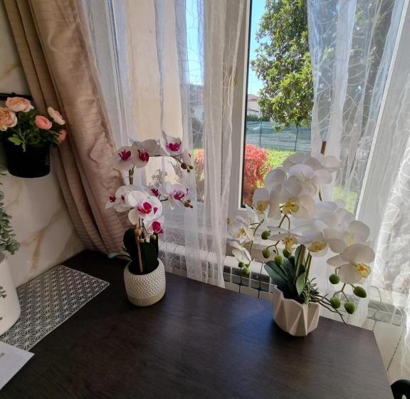 פנסיון Alloggio Liberty