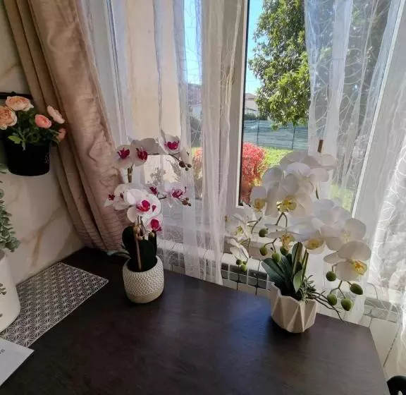 پانسیون Alloggio Liberty