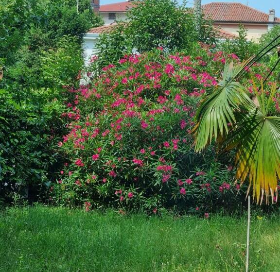 פנסיון Alloggio Liberty