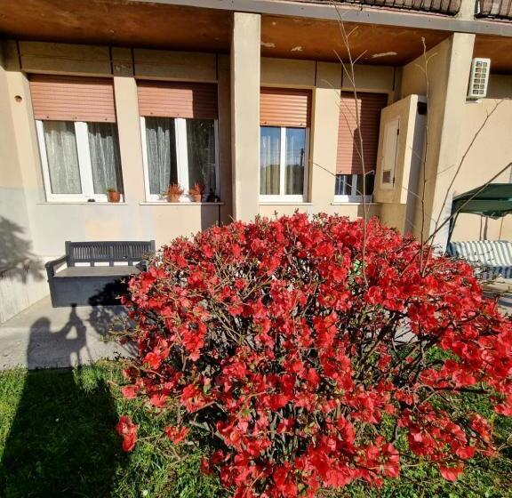 פנסיון Alloggio Liberty