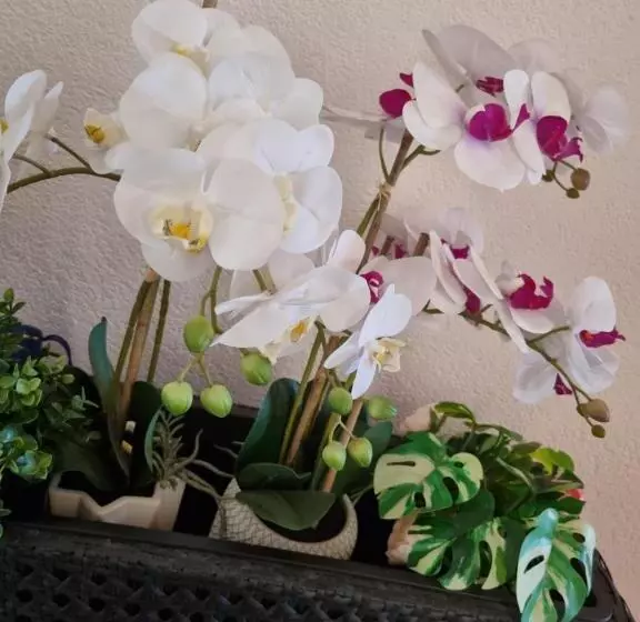 پانسیون Alloggio Liberty