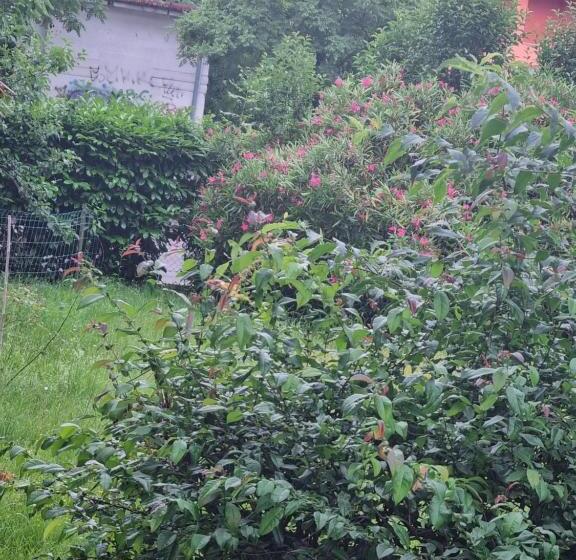 פנסיון Alloggio Liberty