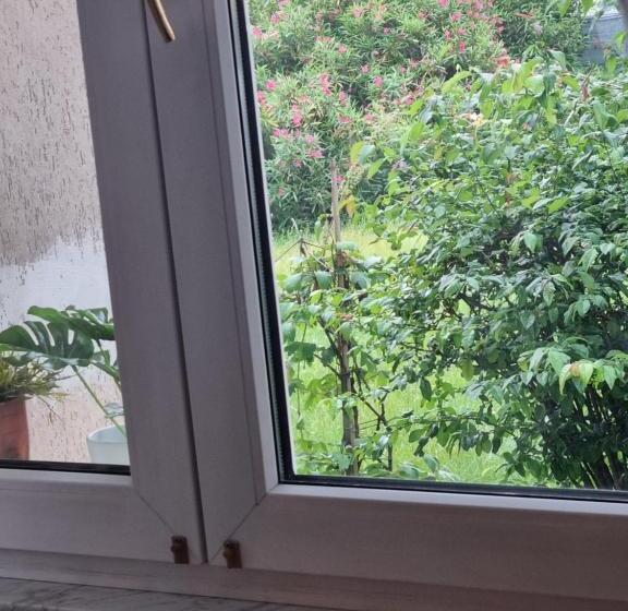 פנסיון Alloggio Liberty