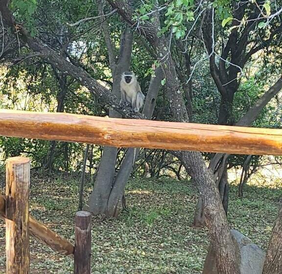 بنسيون Mzila Forest Creek