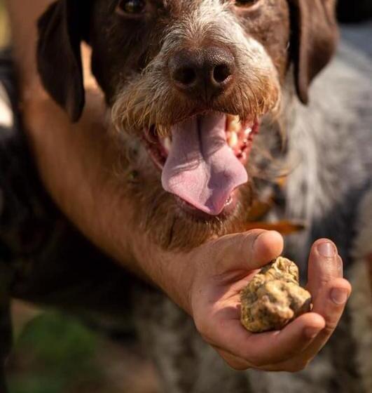 ホテル Tenuta Cascina Marenco