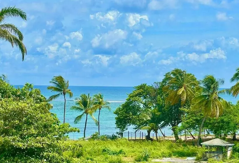 Le Studio 67 Vue Mer, Accès à La Plage Des Alizés