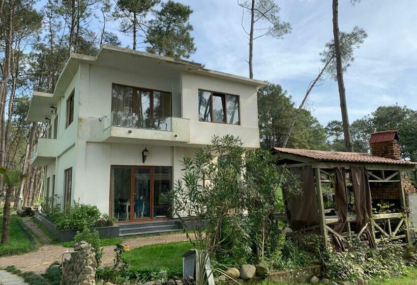 Пансион Mayak Shekvetili