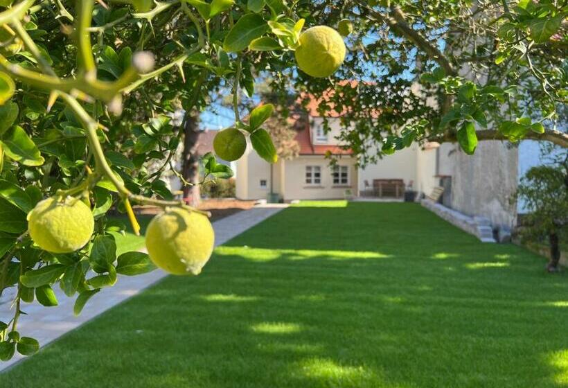Das Sommerhaus In Bingen Am Rhein