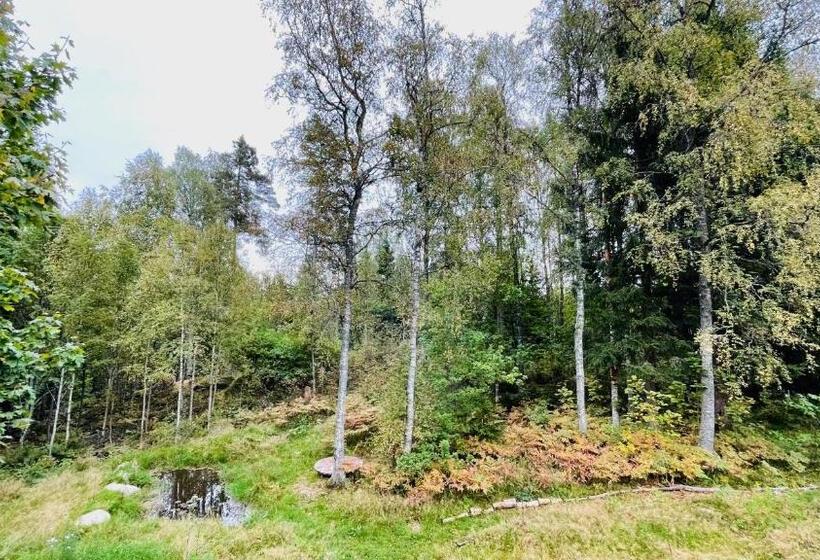 Пансион Höga Backe Gästhus