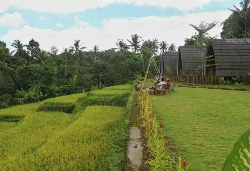 Majatalo Omah Bapak Ijen Eco House