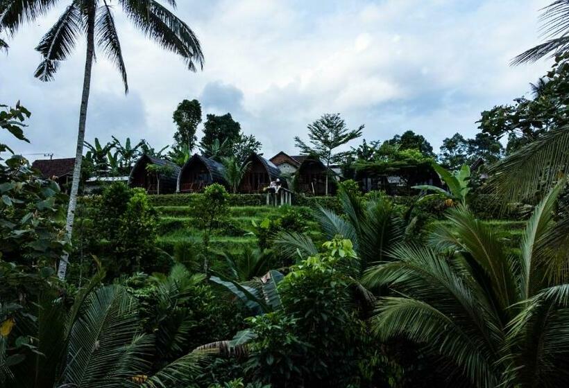 פנסיון Omah Bapak Ijen Eco House