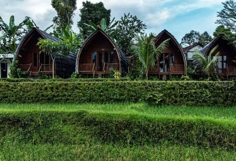 Majatalo Omah Bapak Ijen Eco House