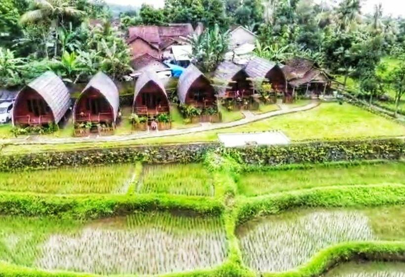 פנסיון Omah Bapak Ijen Eco House