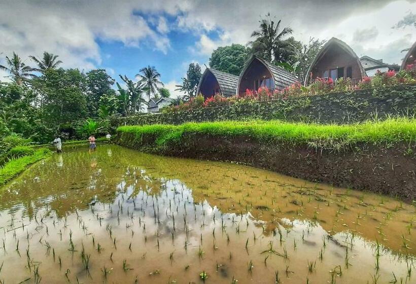 פנסיון Omah Bapak Ijen Eco House